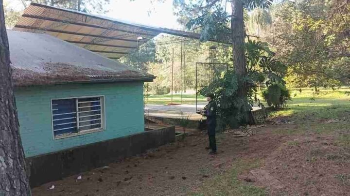Tragedia en Misiones: un adolescente murió tras recibir una descarga eléctrica en una escuela