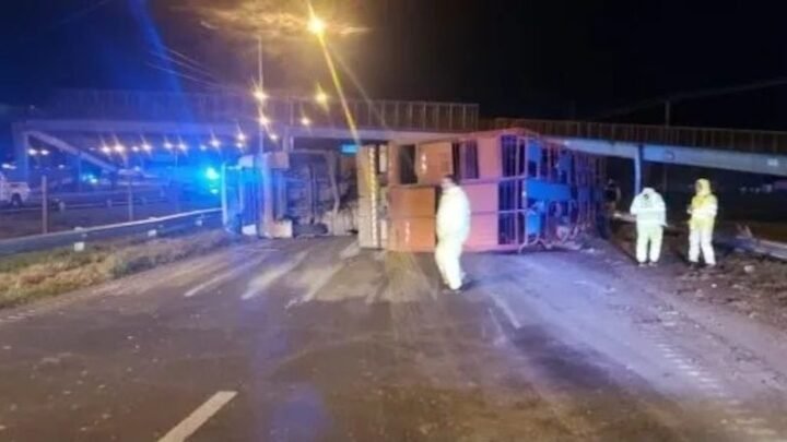 vuelco camión Rosario ganado cinco detenidos intentar robar faenar animales