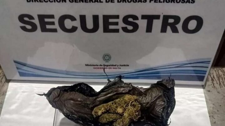 secuestrar dosis de estupefacientes