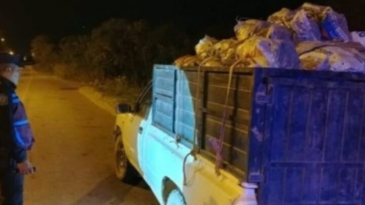 incautan carbón Tartagal