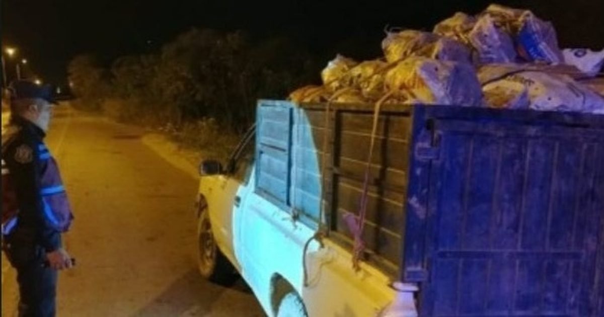 incautan carbón Tartagal