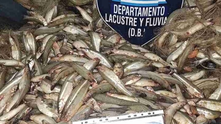 pesca furtiva en Osma