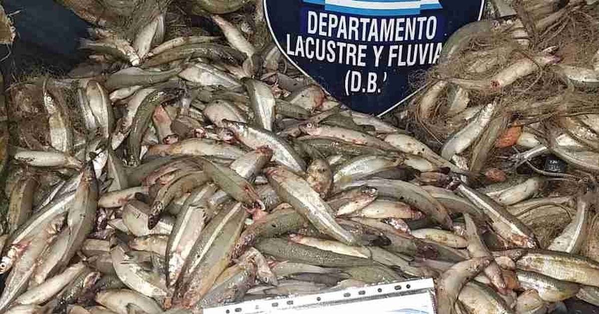 pesca furtiva en Osma