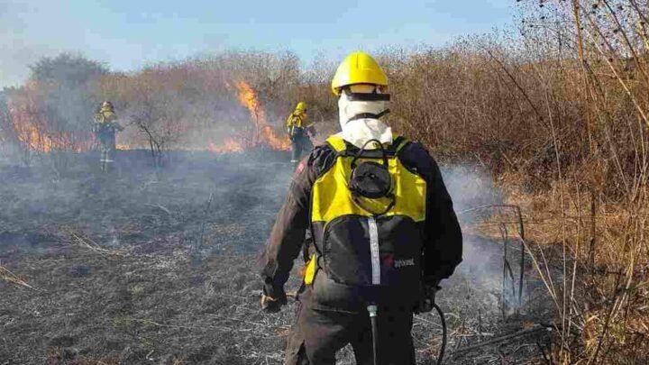 incendios forestales en Salta