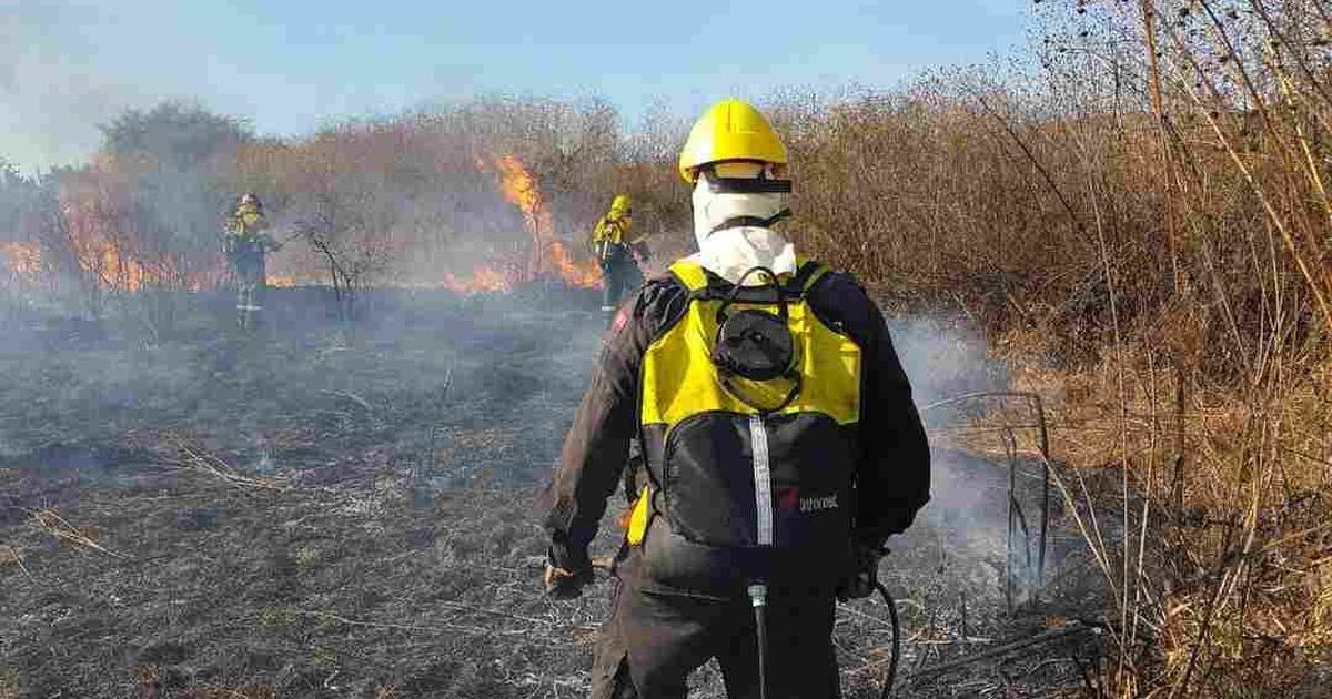 incendios forestales en Salta