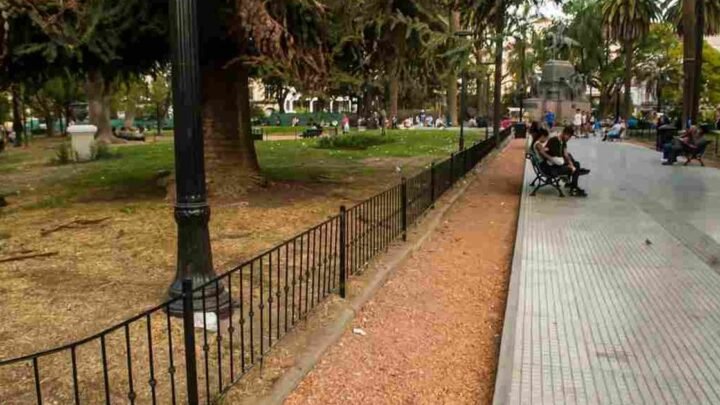 plazas ciudad volverán tener placeros