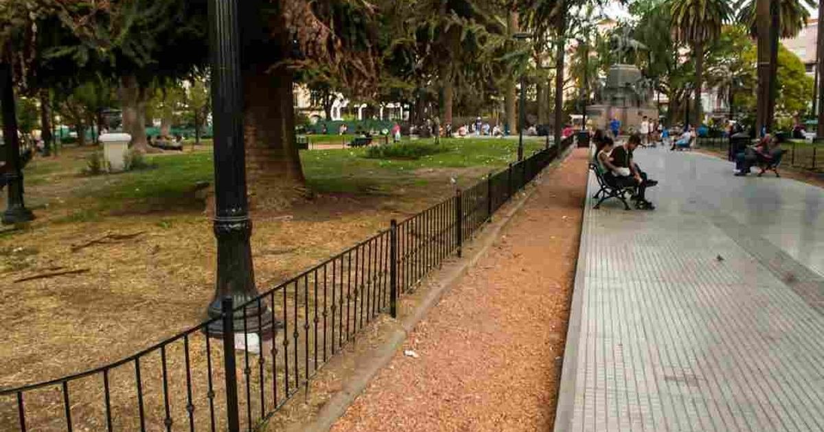 plazas ciudad volverán tener placeros