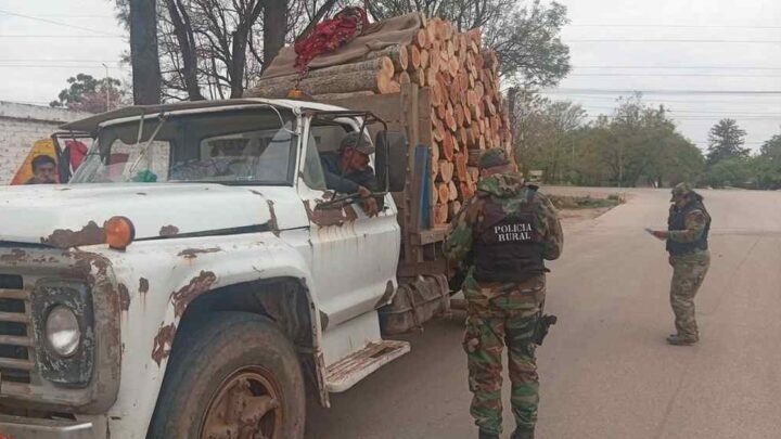 secuestraron madera en Tartagal