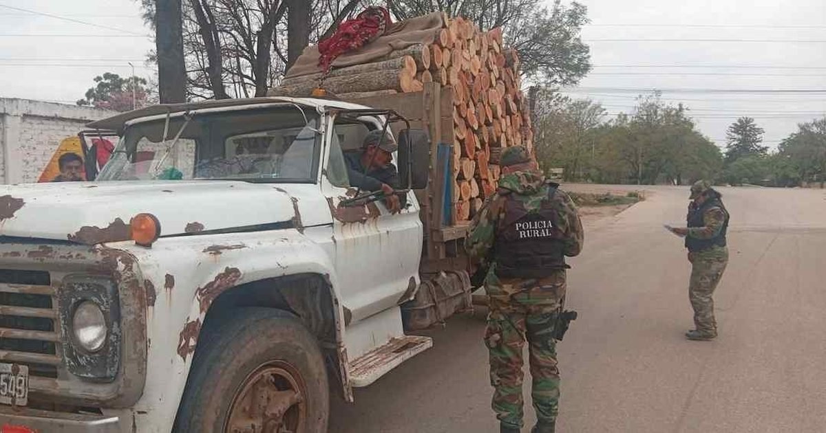 secuestraron madera en Tartagal