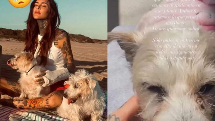 CANDE TINELLI, CONMOVIDA POR LA SALUD DE SU PERRITA LINDA: “SIENTO QUE NOS ESTAMOS DESPIDIENDO”