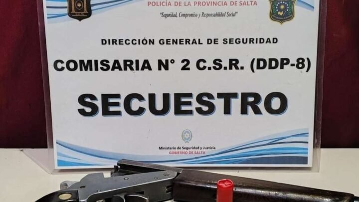 tenencia ilegal de arma
