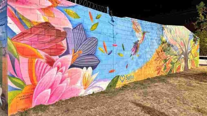 mural en barrio Ampliación Bancario