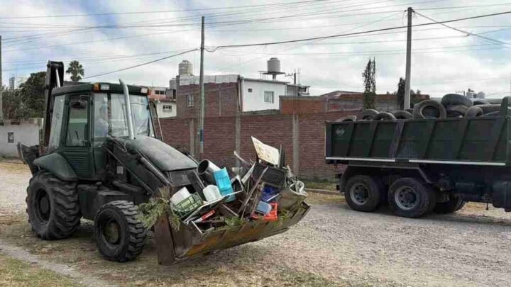 descacharrado en zona norte