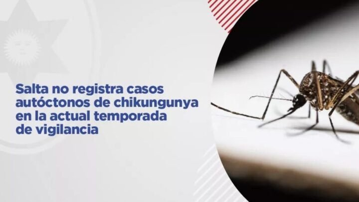casos de chikungunya en Salta