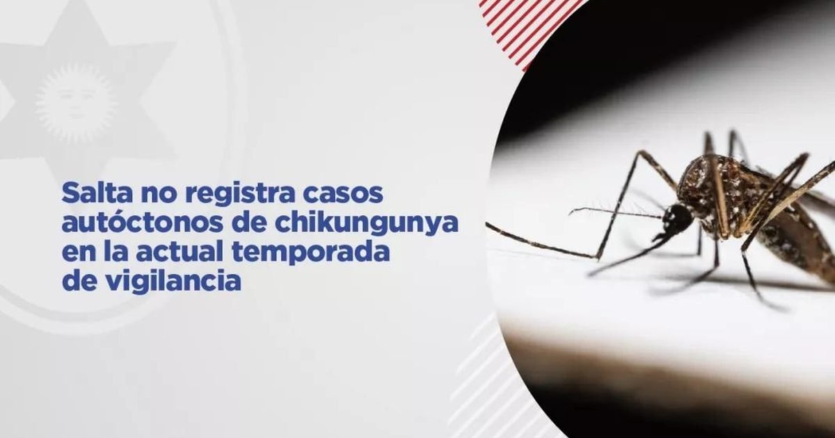 casos de chikungunya en Salta