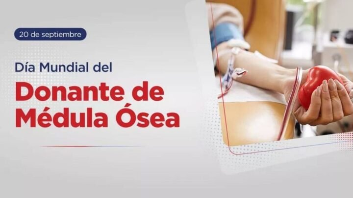donante de médula ósea