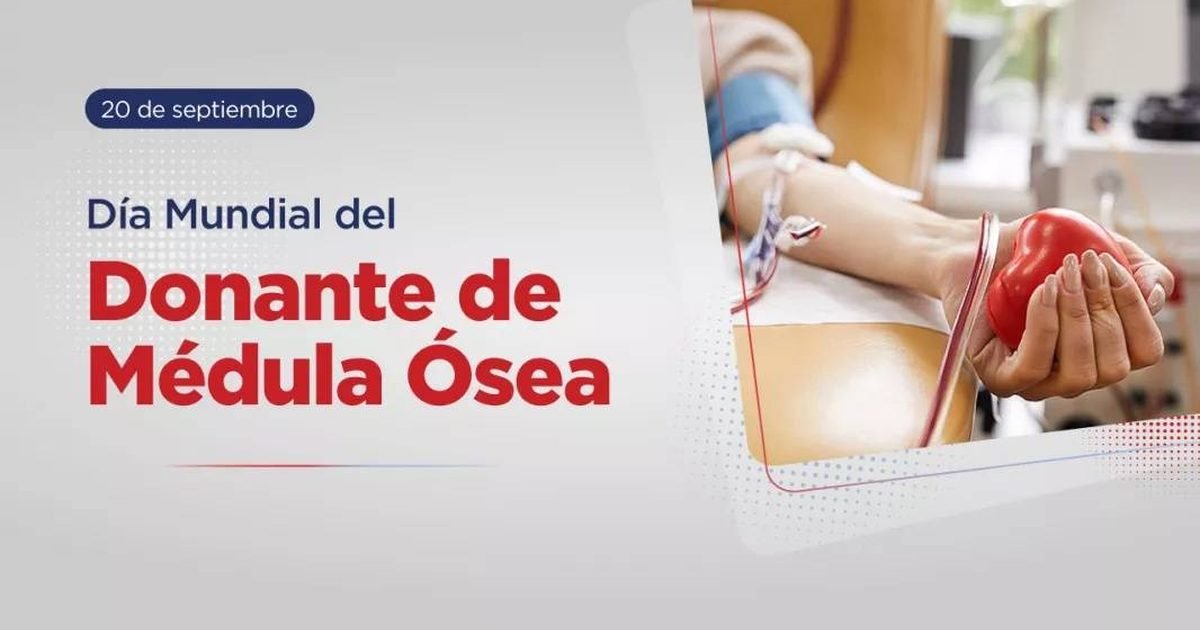 donante de médula ósea