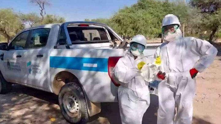 vigilancia epidemiológica territorial