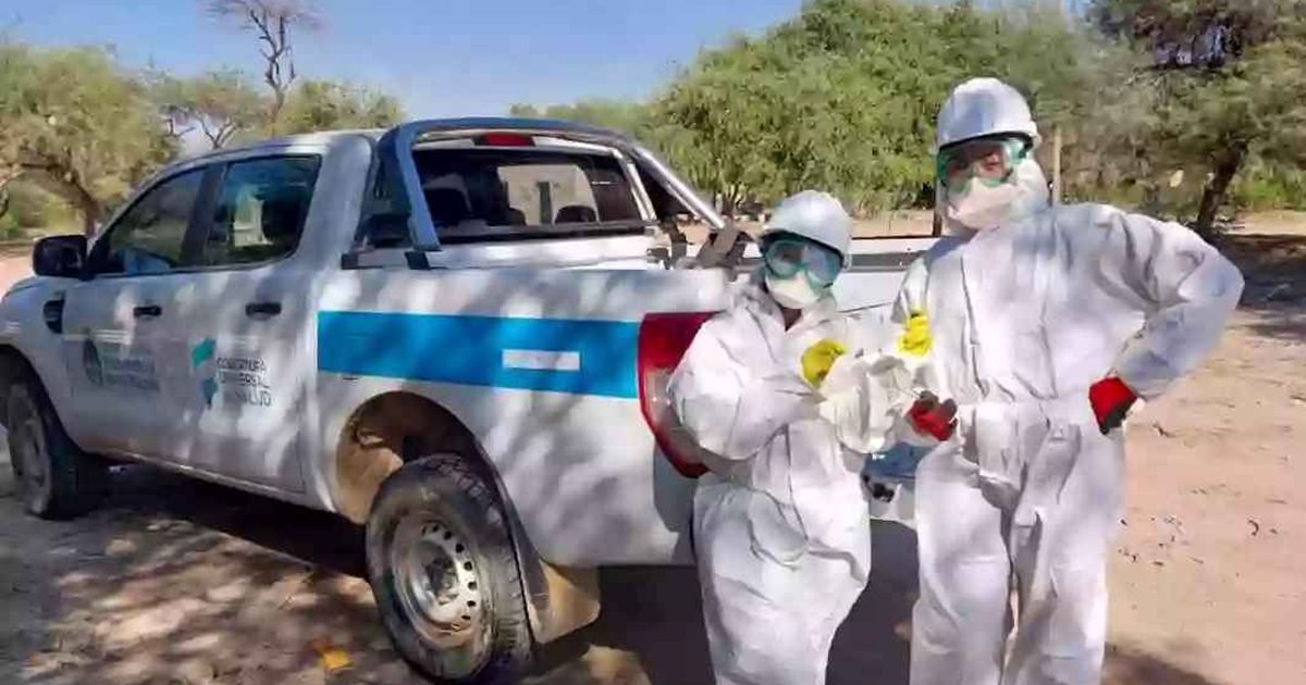 vigilancia epidemiológica territorial