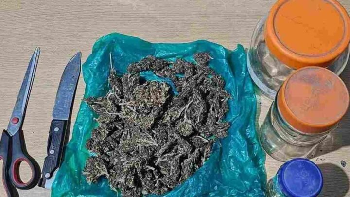 Patrullajes preventivos tres demorados más 700
