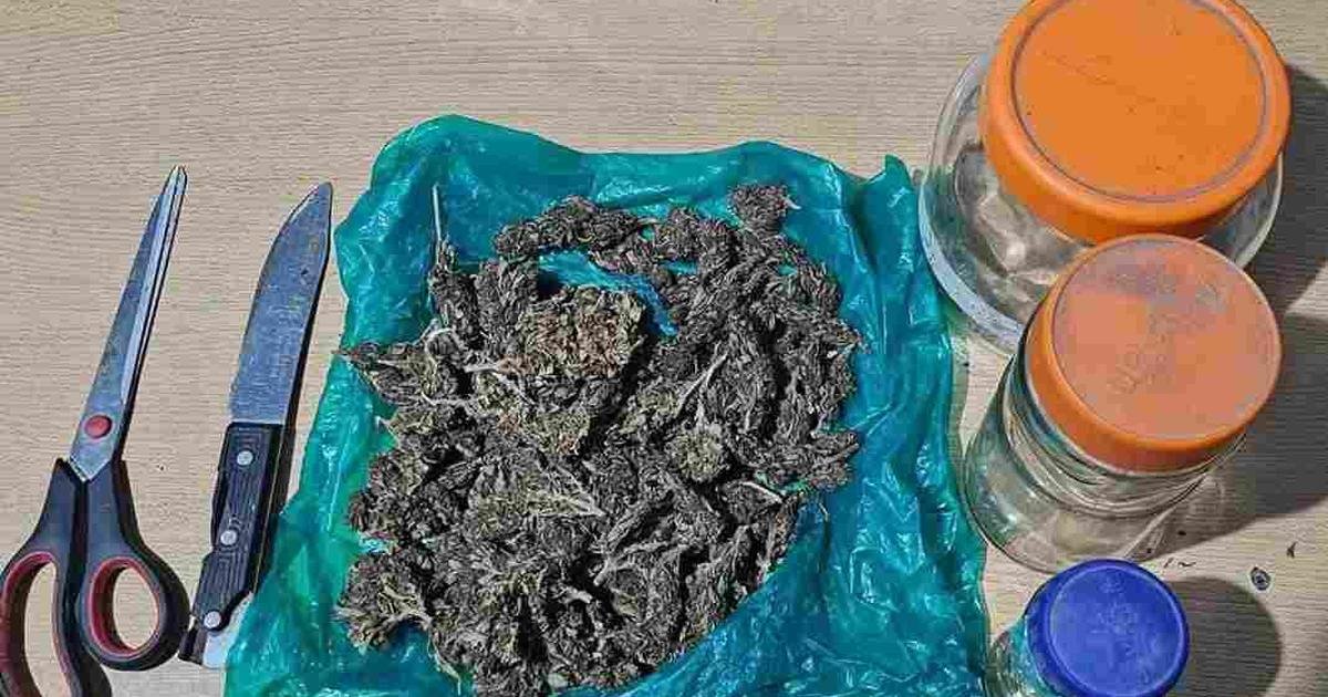 Patrullajes preventivos tres demorados más 700