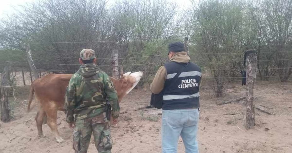 abigeato en Rosario de la Frontera