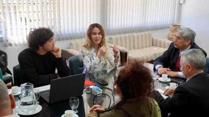 empleo y formación profesional