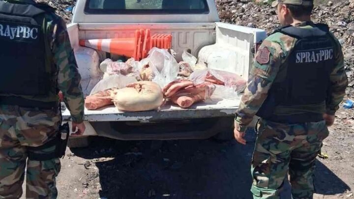 carne no apta