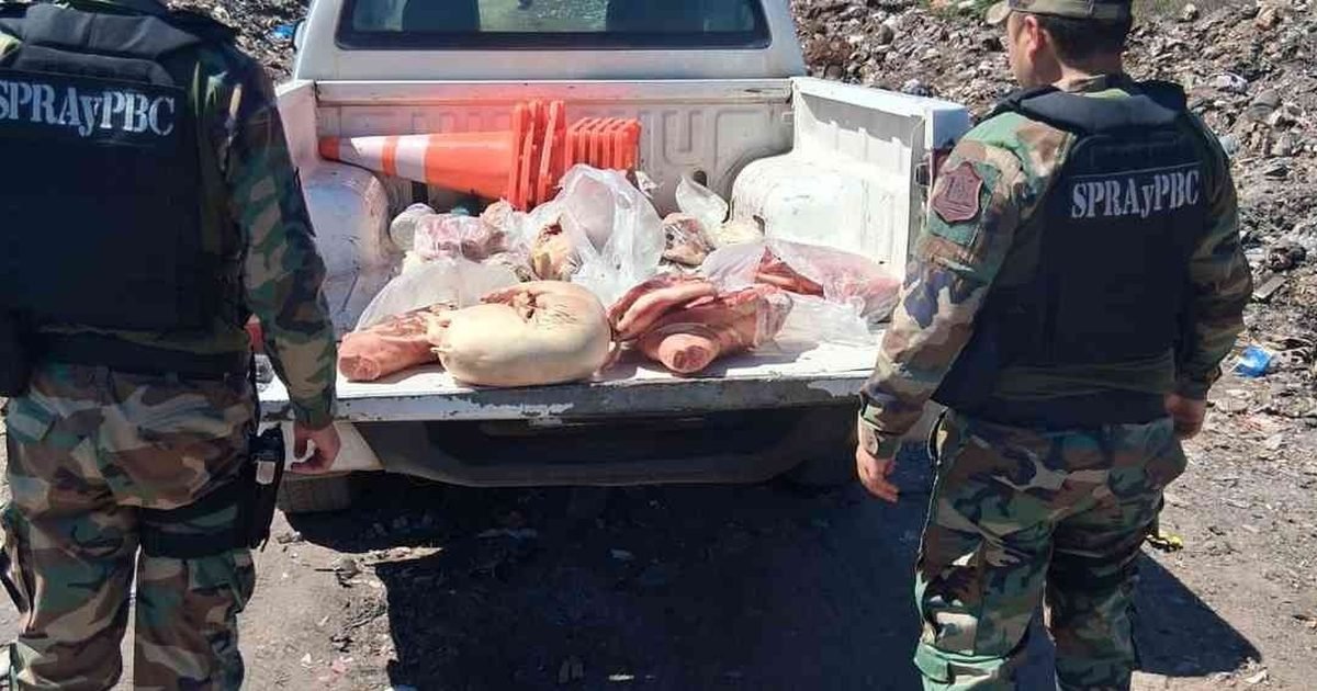 carne no apta