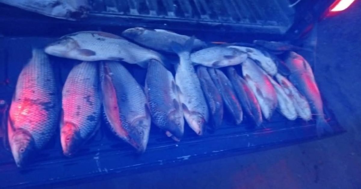 pesca ilegal