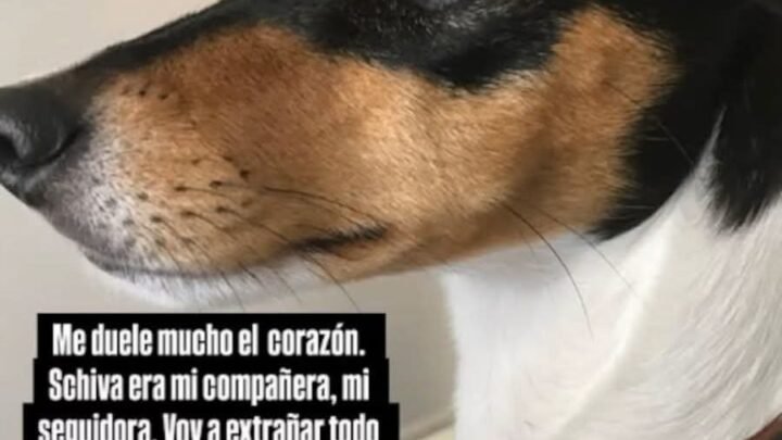 Barby Franco y Fernando Burlando despidieron con profundo dolor a su perrita Shiva tras 17 años