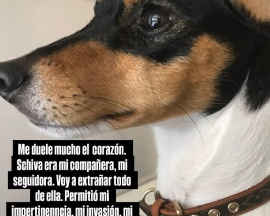 Barby Franco y Fernando Burlando despidieron con profundo dolor a su perrita Shiva tras 17 años