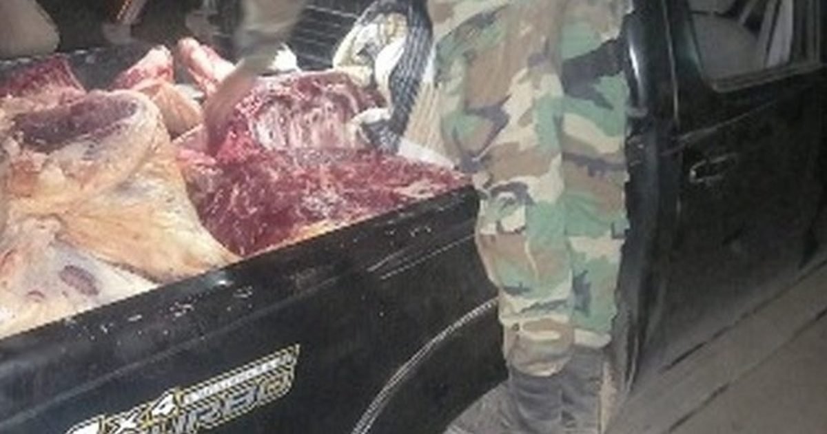 decomisaron carne en Tartagal