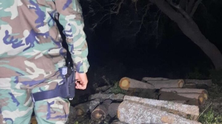 secuestraron rollos de quebracho