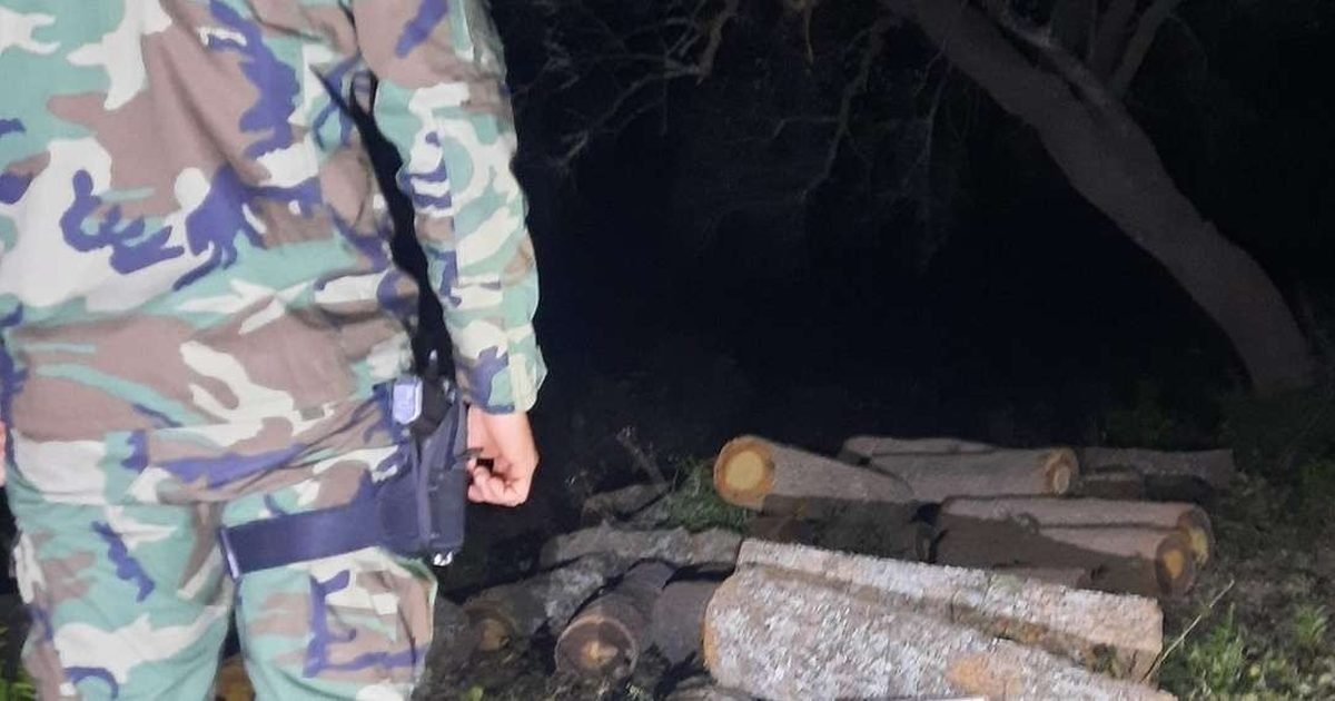 secuestraron rollos de quebracho