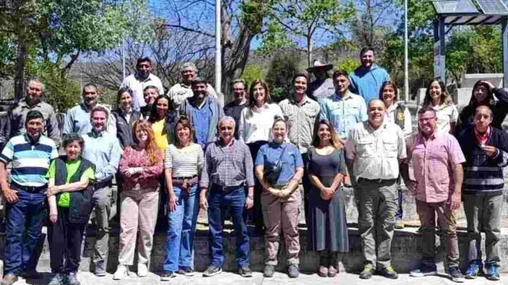 conservación de la taruca
