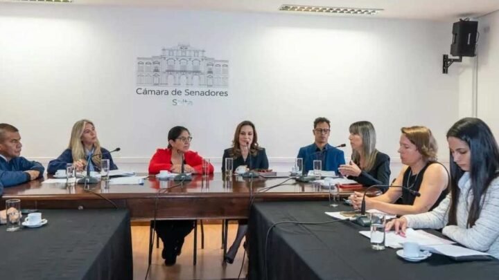 emergencia social por violencia de género
