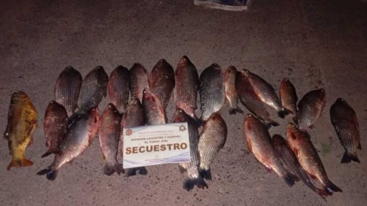 secuestraron 40 piezas ictícolas