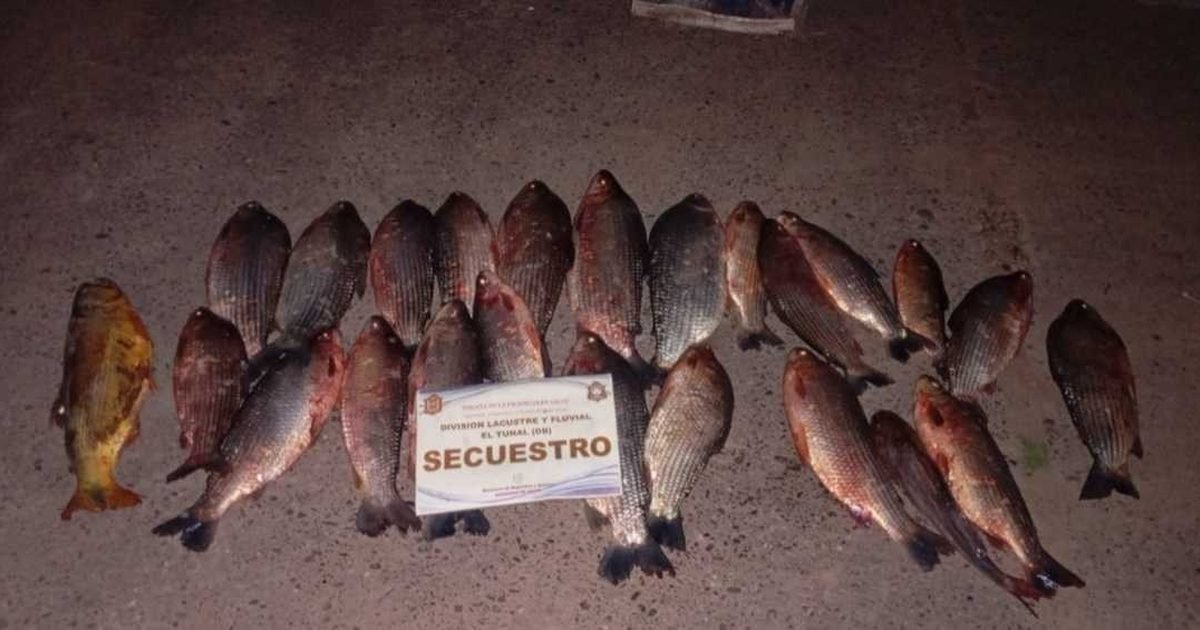secuestraron 40 piezas ictícolas