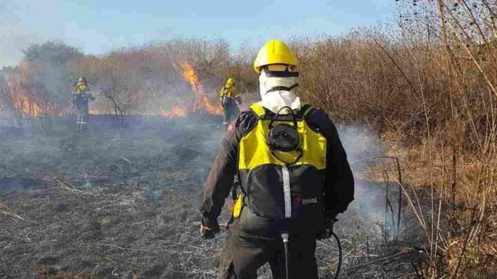 incendios forestales en Salta