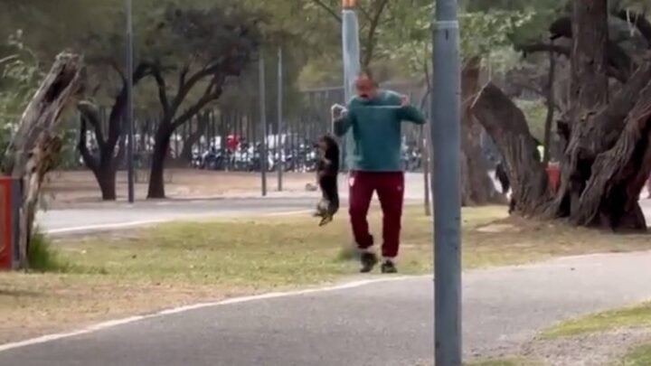 Catamarca: le iniciaron una causa judicial a un hombre que fue grabado ahorcando y pateando a su perro salchicha