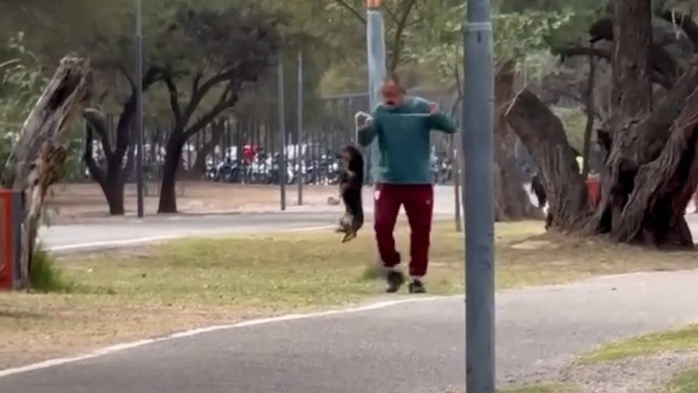 Catamarca: le iniciaron una causa judicial a un hombre que fue grabado ahorcando y pateando a su perro salchicha