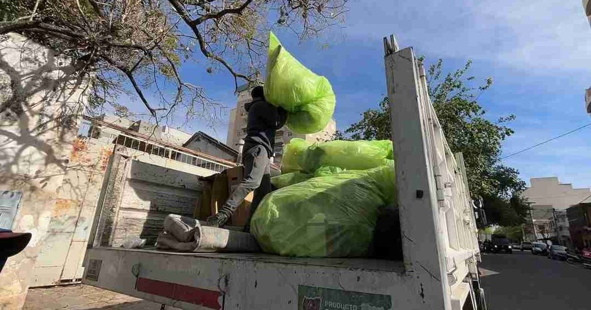saneamiento de espacios públicos