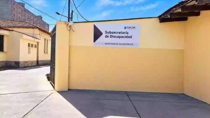Subsecretaría de Discapacidad