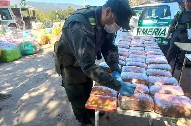 droga en peluches Detuvieron mujer transportaba más 54 kilos ocultos carpinchos