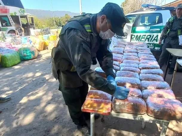 droga en peluches Detuvieron mujer transportaba más 54 kilos ocultos carpinchos