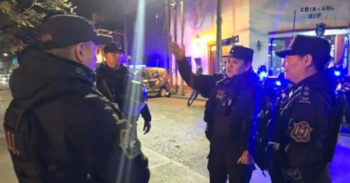 operativos de proteccion ciudadana