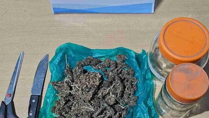 JoaquinVGonzalez Secuestraron más 600 dosis droga