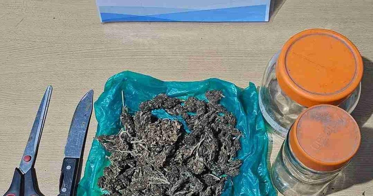 JoaquinVGonzalez Secuestraron más 600 dosis droga