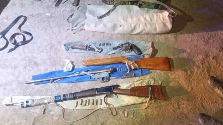 tenencia ilegal de armas